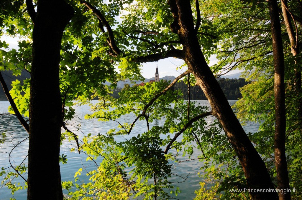 Bled  2011.07.29_46.JPG